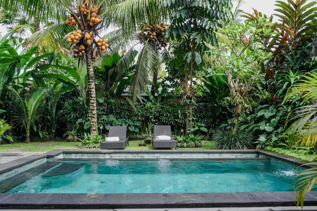 Tempat Tidur & Sarapan Tebe Mesari